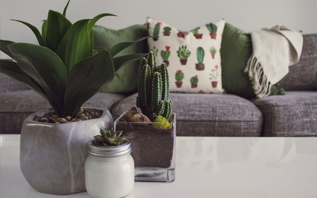 Home Essentials for Creating a Cozy and Comfortable Living Space